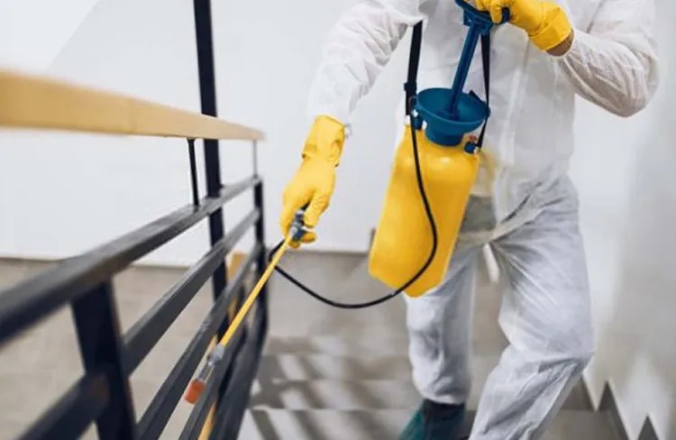 Pest Control Fortuna Foothills Service Area